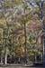 H1U_11-04-2009_004